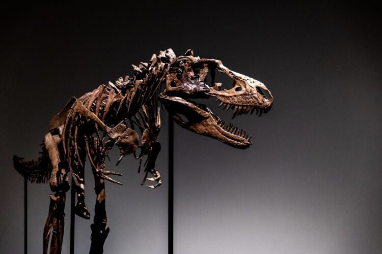 People’s University Is All About Dinosaurs This Summer